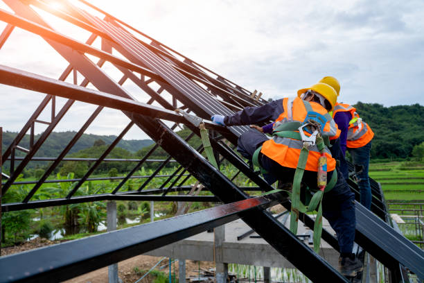 Best Metal Roofing Contractor  in North Mankato, MN