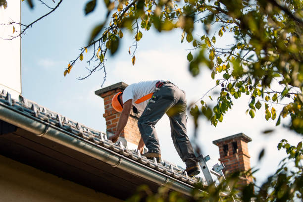 Best Residential Roofing Contractor  in North Mankato, MN