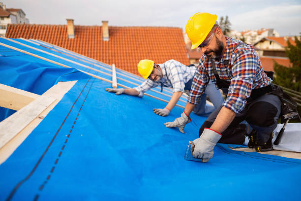 Best Metal Roofing Contractor  in North Mankato, MN